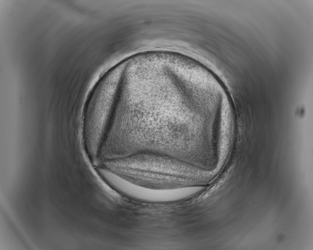 X0000098021525200804181149