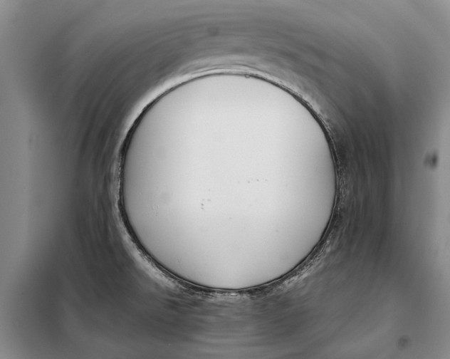 X0000098021526200804181149