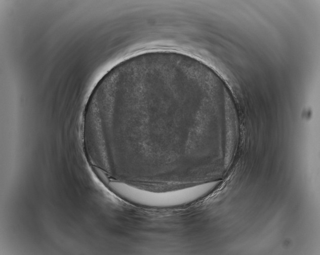 X0000098021527200804181149