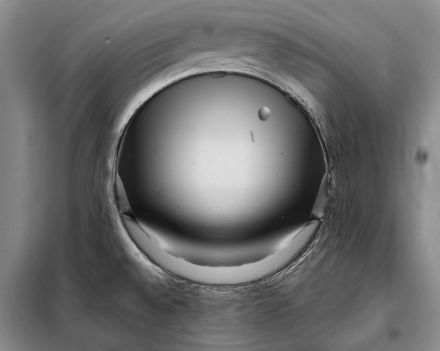 X0000098021528200804181149