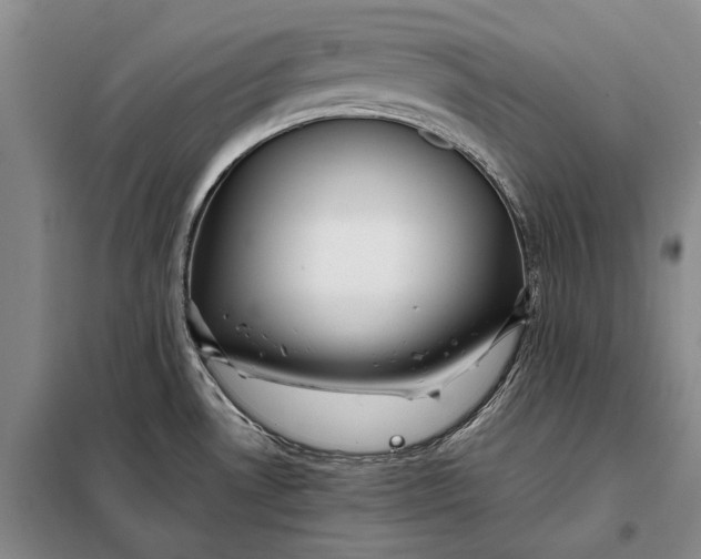 X0000098021530200804181149