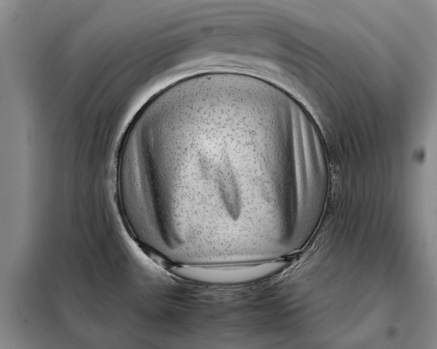 X0000098021531200804181149