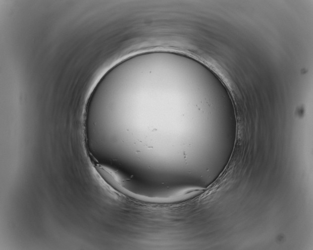 X0000098021532200804181149