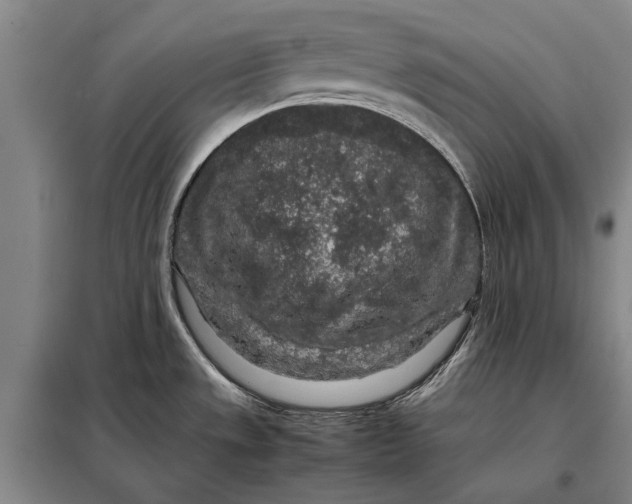 X0000098021533200804181149