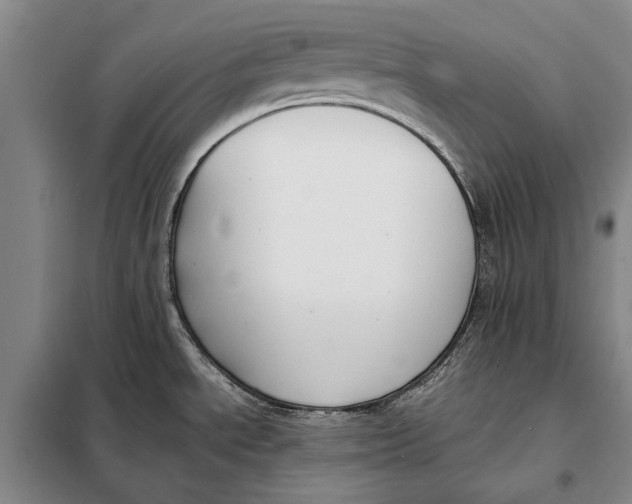 X0000098021534200804181149