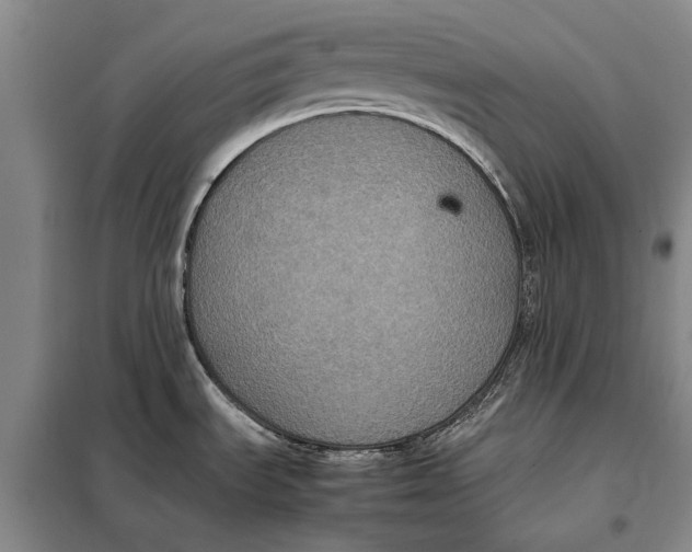 X0000098021535200804181149