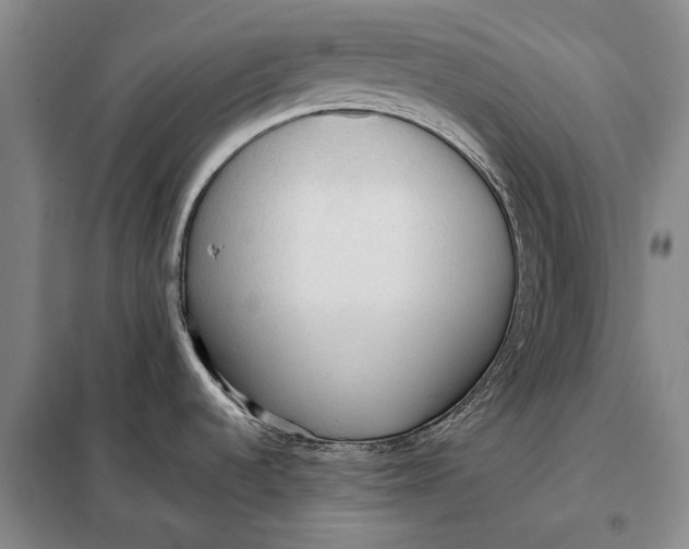 X0000098021536200804181149