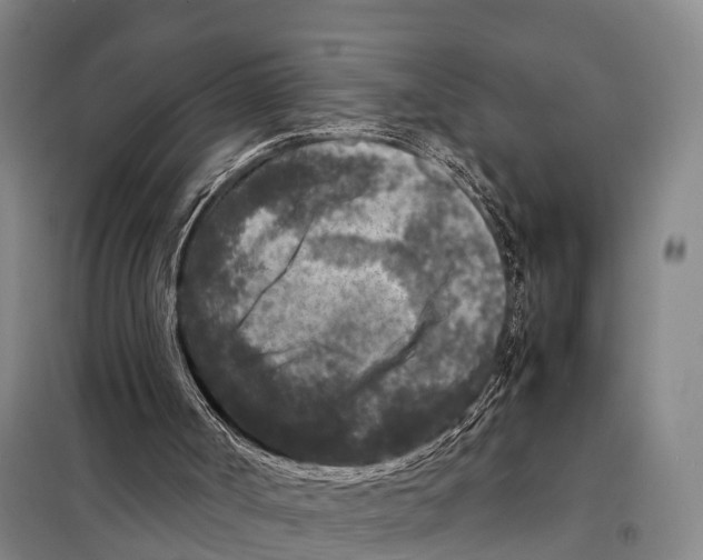 X0000098020002200804251148