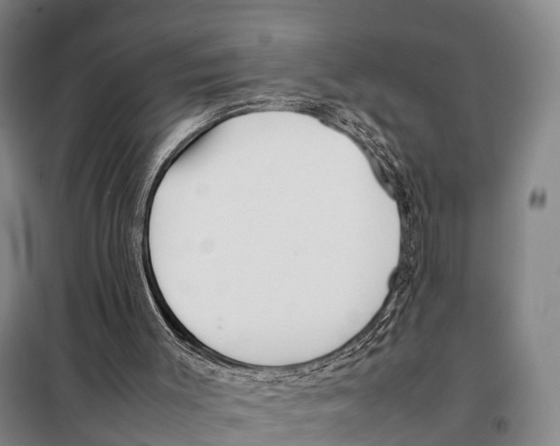 X0000098020003200804251148