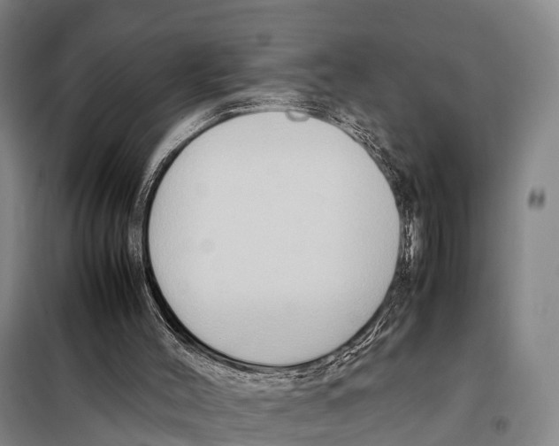 X0000098020004200804251148