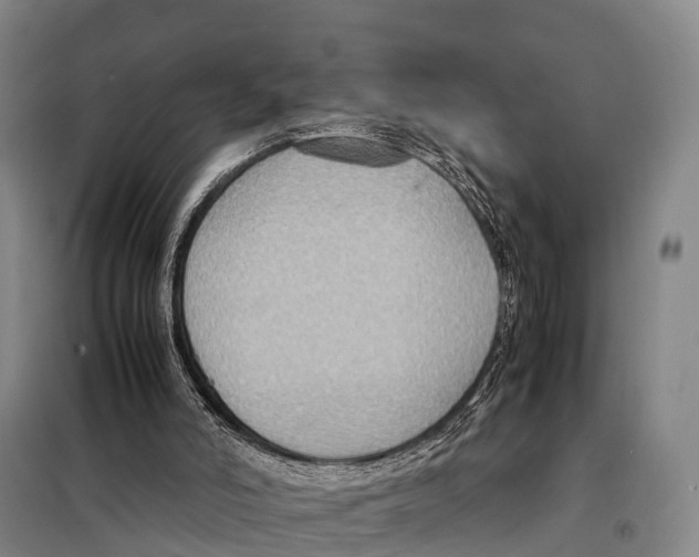 X0000098020006200804251148