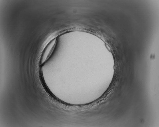 X0000098020007200804251148