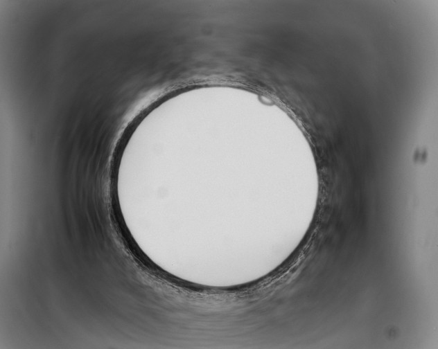 X0000098020008200804251148