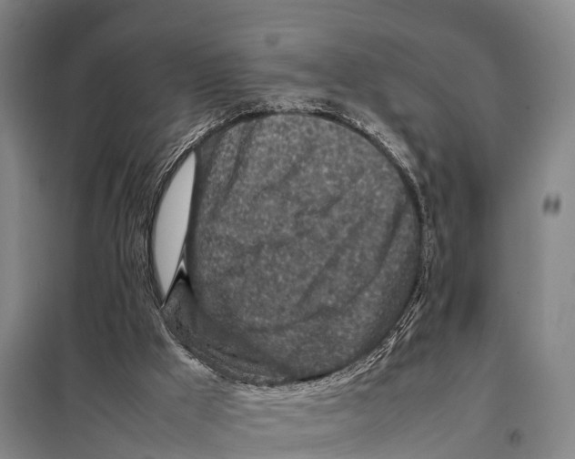 X0000098020009200804251148