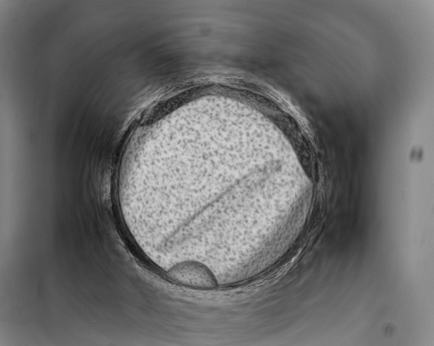 X0000098020010200804251148