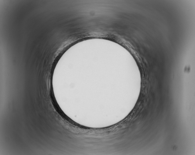 X0000098020011200804251148