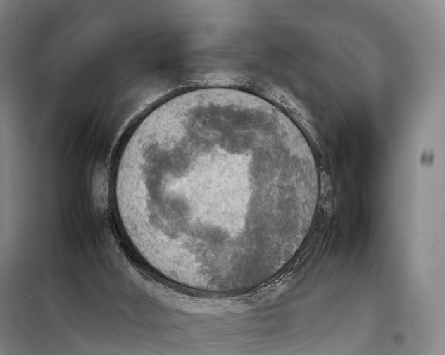 X0000098020012200804251148