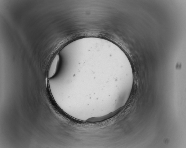 X0000098020013200804251148