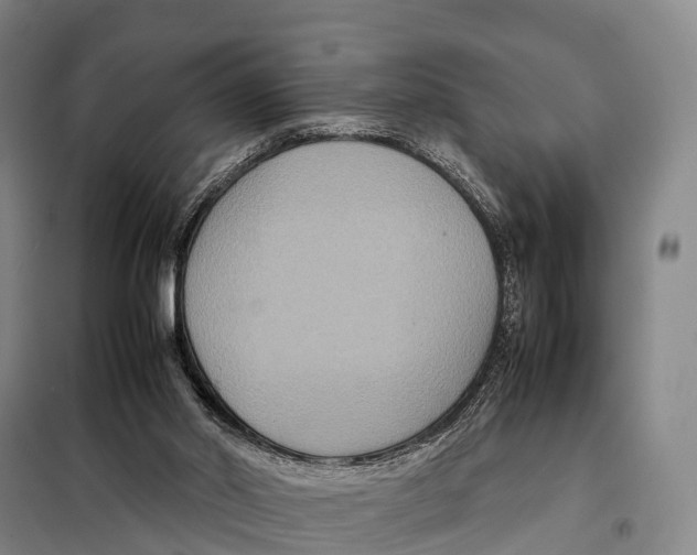 X0000098020014200804251148