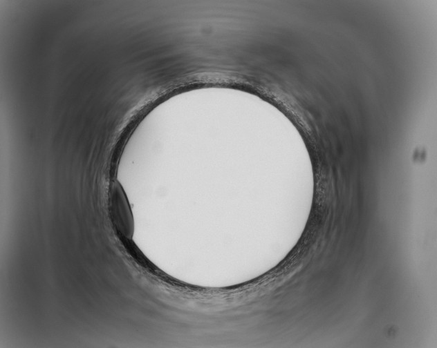 X0000098020015200804251148