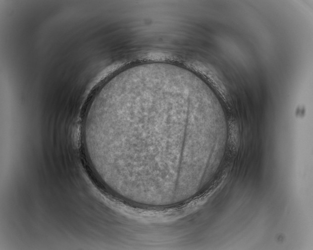 X0000098020016200804251148