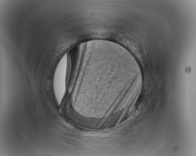 X0000098020017200804251148