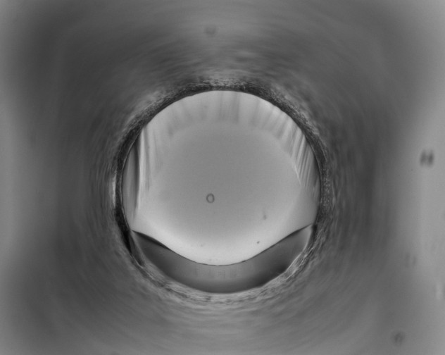 X0000098020019200804251148