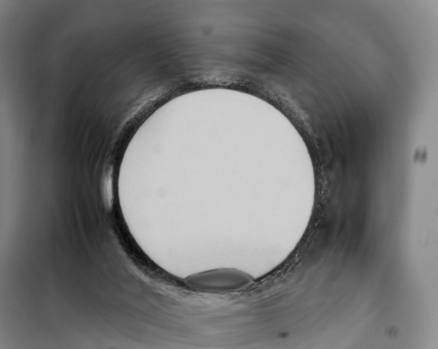 X0000098020020200804251148