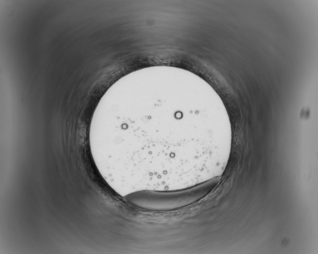 X0000098020025200804251148