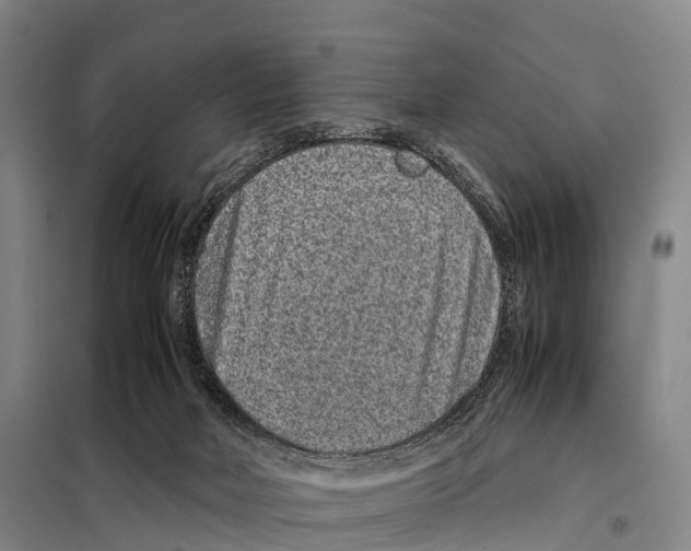 X0000098020026200804251148