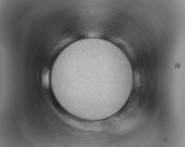 X0000098020028200804251148