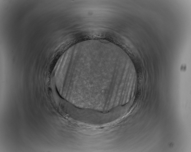 X0000098020029200804251148