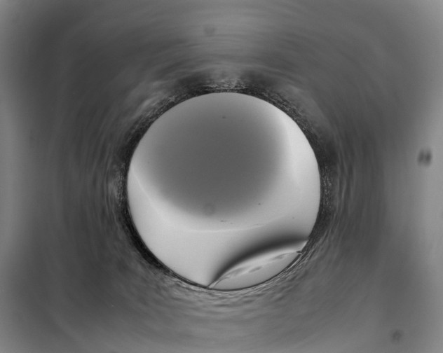 X0000098020035200804251147