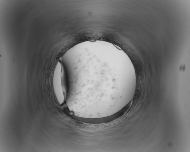 X0000098020037200804251147