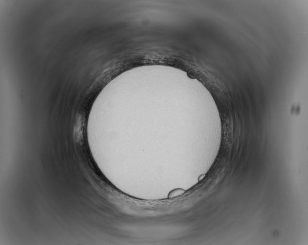 X0000098020038200804251147