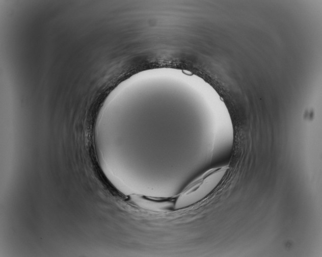 X0000098020039200804251147