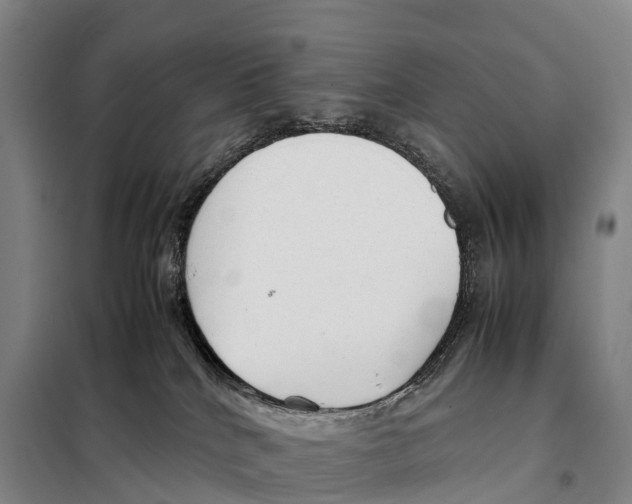 X0000098020040200804251147