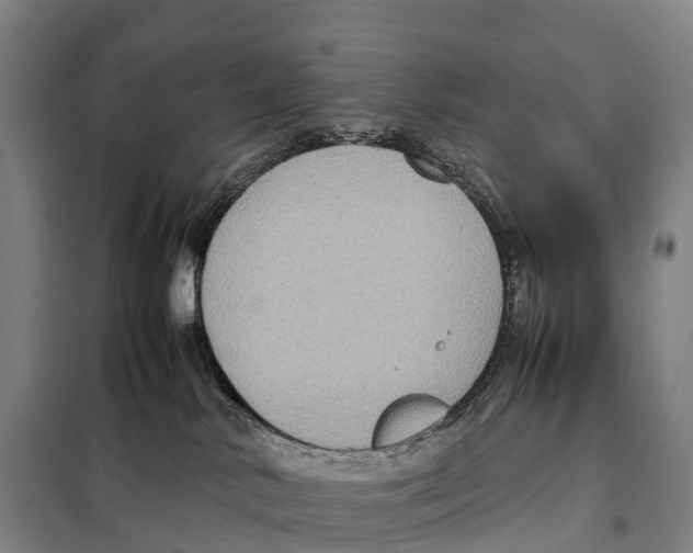 X0000098020042200804251147
