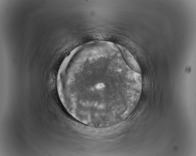 X0000098020043200804251147