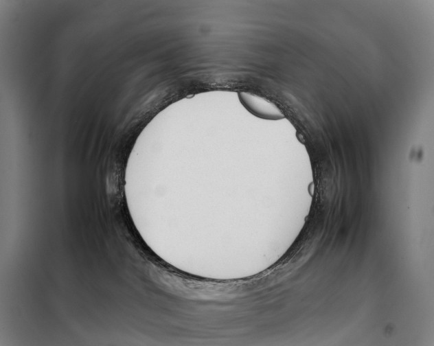 X0000098020044200804251147
