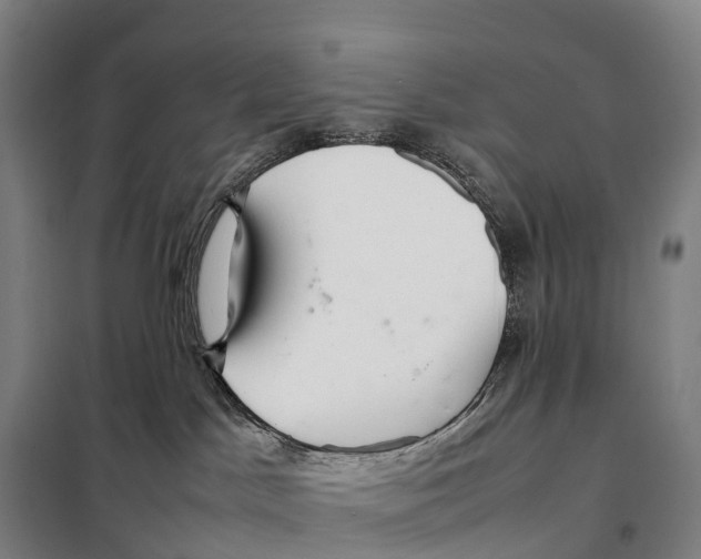 X0000098020045200804251147