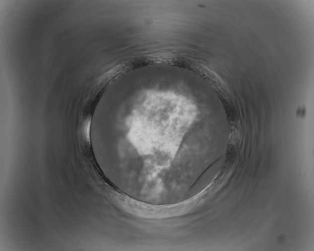 X0000098020047200804251147