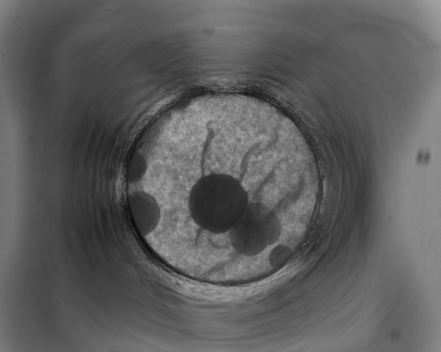 X0000098020048200804251147
