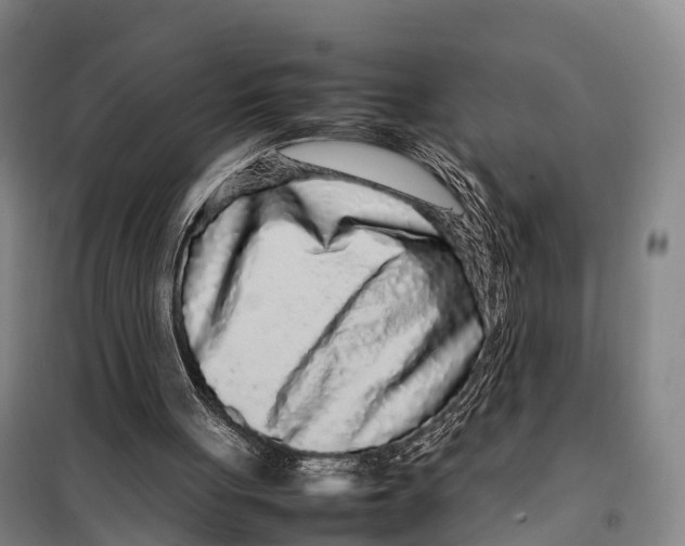X0000098020051200804251147
