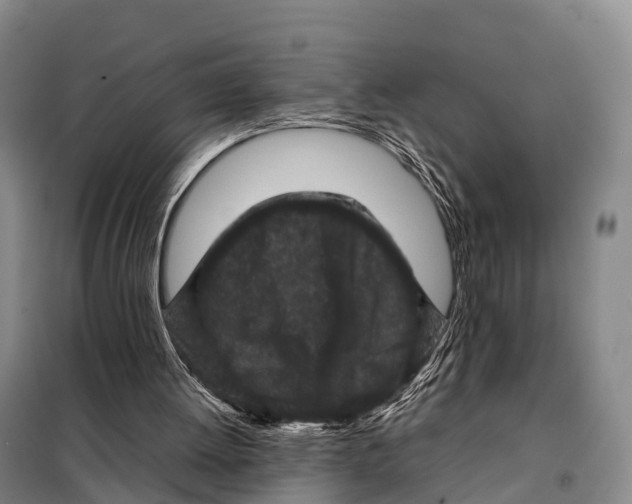 X0000098020052200804251147