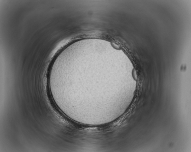 X0000098020054200804251147