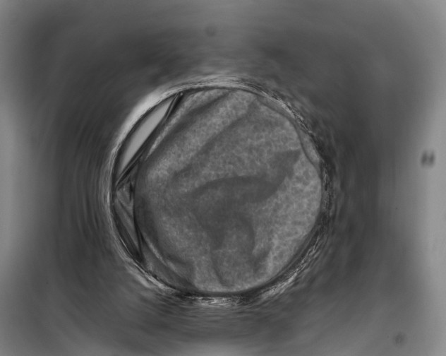 X0000098020056200804251147