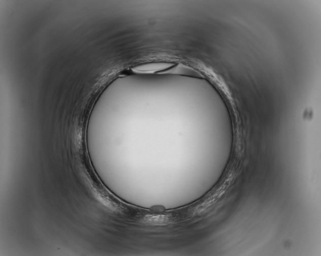 X0000098020057200804251147