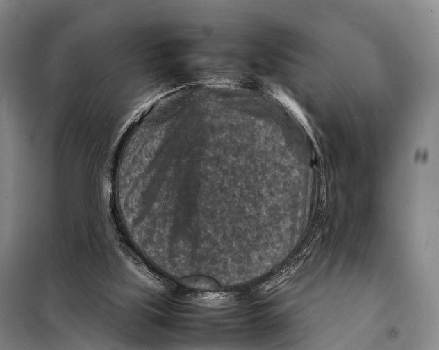 X0000098020059200804251147