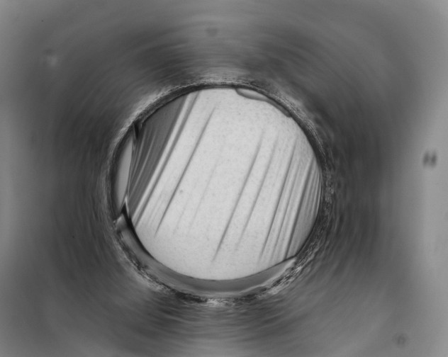 X0000098020060200804251147